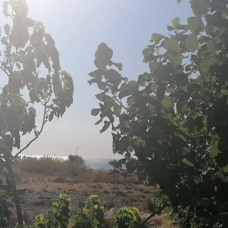In * Faliraki